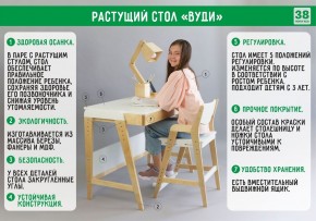 Комплект растущий стол и стул с чехлом 38 попугаев «Вуди» (Белый, Белый, Клетка) в Еманжелинске - emanzhelinsk.mebel-74.com | фото