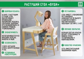 Комплект растущий стол и стул с чехлом 38 попугаев «Вуди» (Серый, Береза, Салют) в Еманжелинске - emanzhelinsk.mebel-74.com | фото