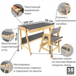 Комплект растущий стол и стул с чехлом 38 попугаев «Вуди» (Серый, Береза, Серый) в Еманжелинске - emanzhelinsk.mebel-74.com | фото