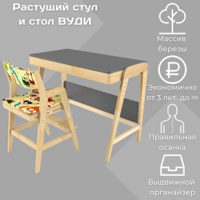 Комплект растущий стол и стул с чехлом 38 попугаев «Вуди» (Серый, Без покрытия, Монстры) в Еманжелинске - emanzhelinsk.mebel-74.com | фото