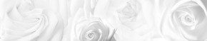 Кухонный фартук Цветы 217 МДФ матовый (3000) Flowers в Еманжелинске - emanzhelinsk.mebel-74.com | фото