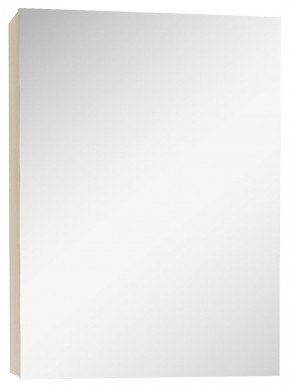 Шкаф-зеркало Мечта 40 Дуб сонома АЙСБЕРГ (DM2317HZ) в Еманжелинске - emanzhelinsk.mebel-74.com | фото